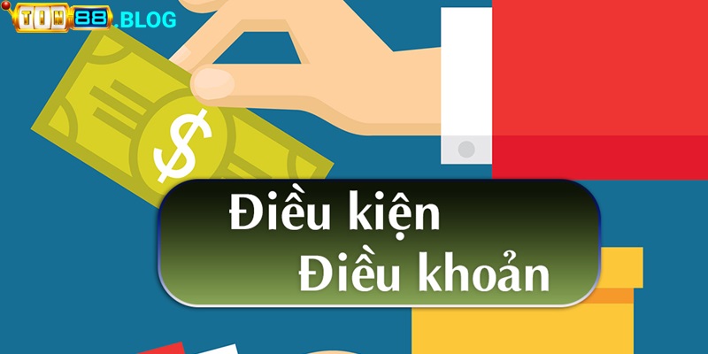 Điều khoản sử dụng khuyến mãi được quy định chi tiết cho từng chương trình