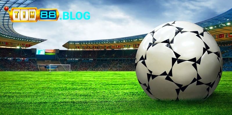 Nền tảng cung cấp các hoạt động cá cược chuyên nghiệp