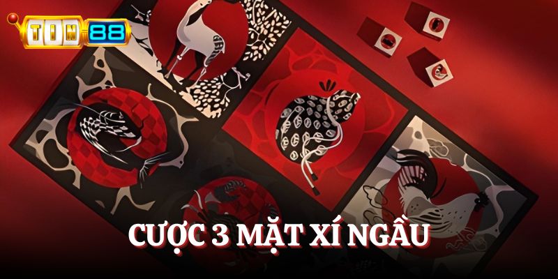 Dự đoán ba mặt xí ngầu đều xuất hiện cùng một linh vật