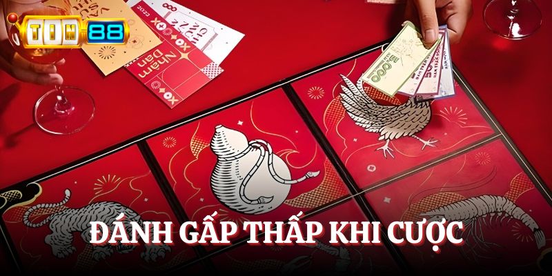 Sử dụng công thức đánh gấp thếp để cược thu lời