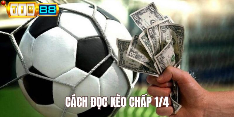 Cách đọc kèo chấp 1/4 là bao nhiêu theo từng cửa cược